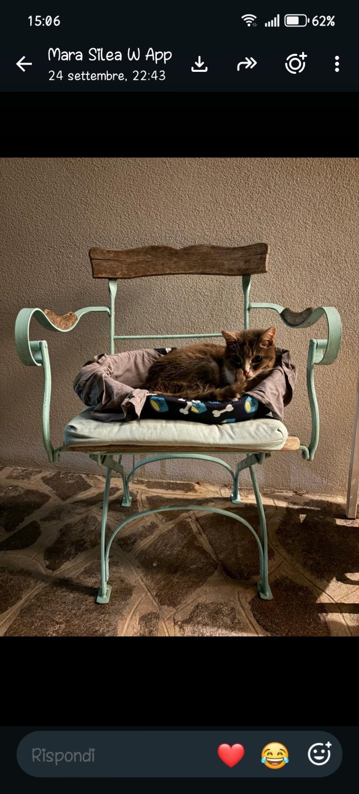Luna cerca una famiglia che la ami