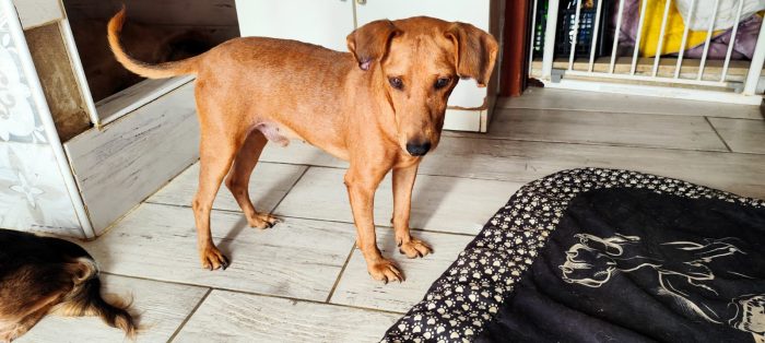 Andy, un miracolo dalla strada