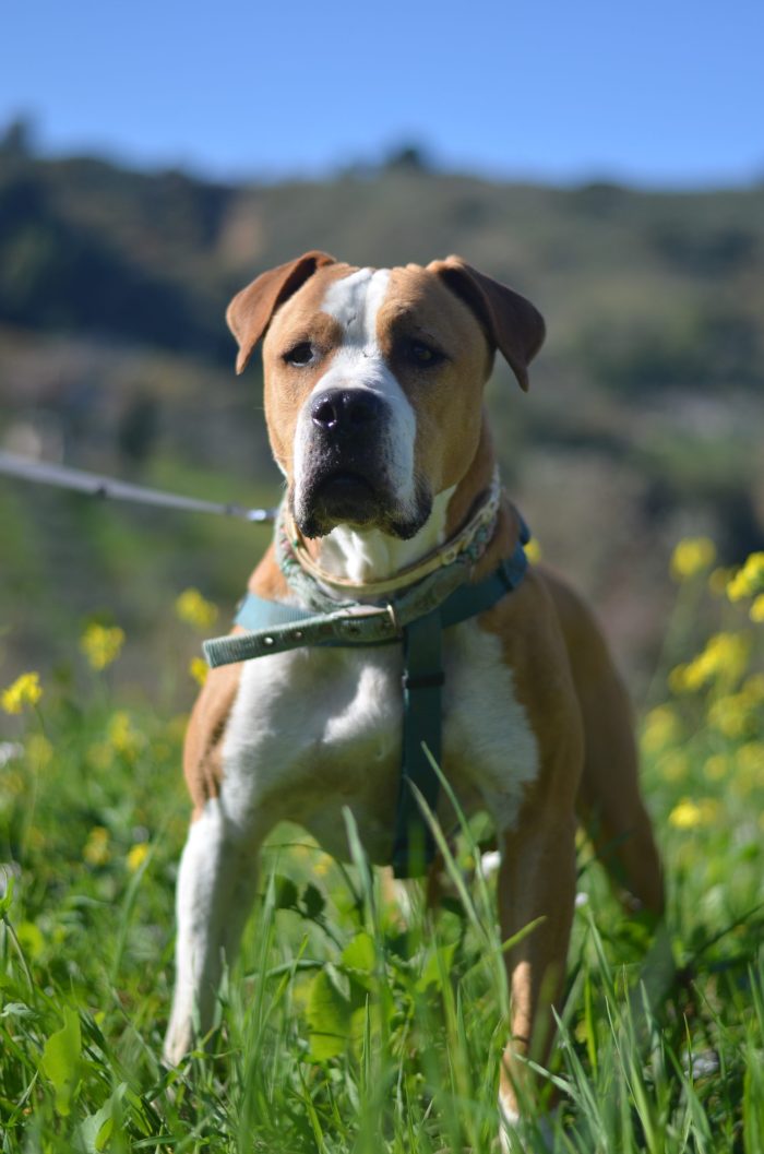 Olga, lo sguardo più dolce - media 4
