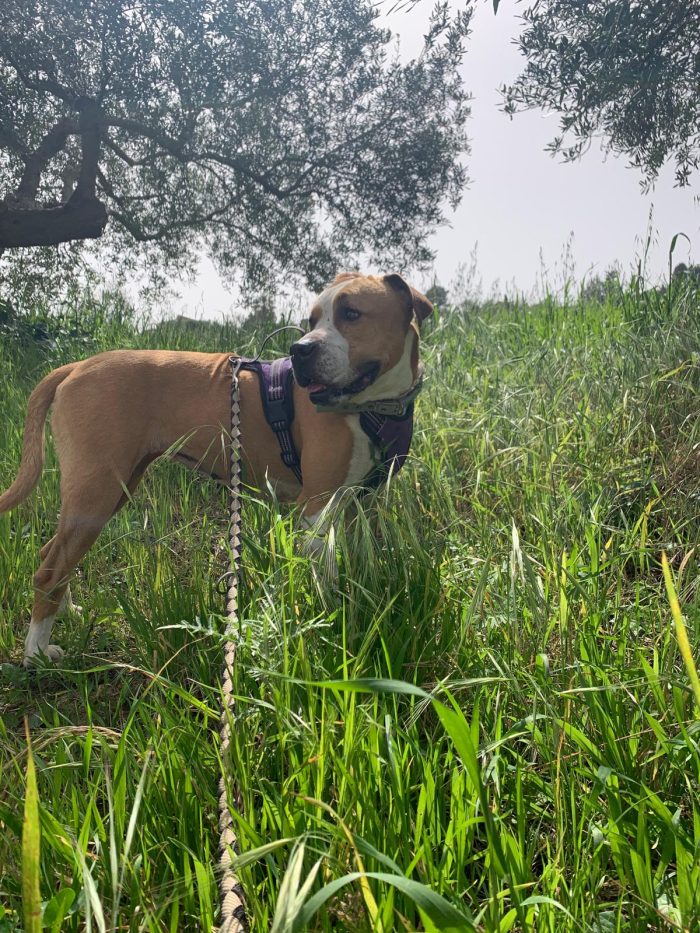 Olga, lo sguardo più dolce - media 9