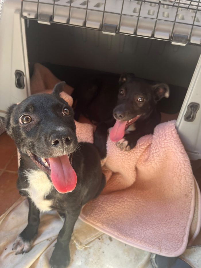 Aaron, dolce e giocherellone