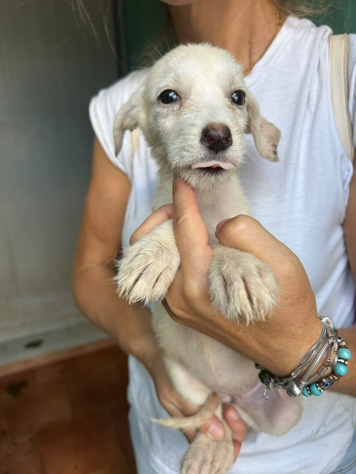 Fiorella, dolce e sfortunata