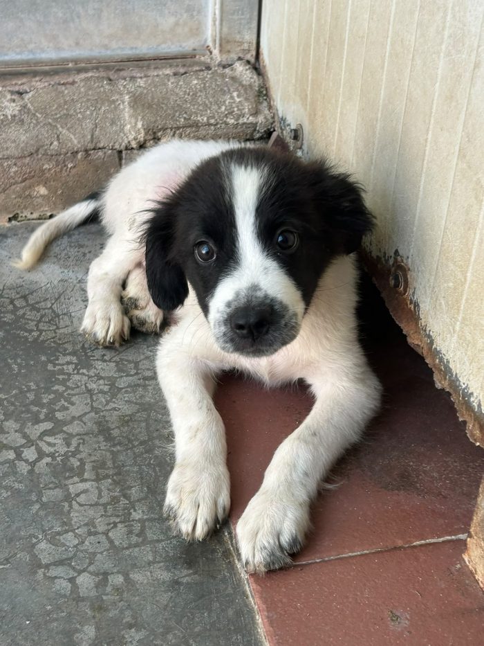 RANÀ un amore tutto da scoprire