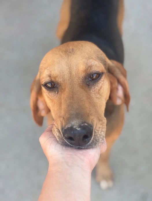Luna .