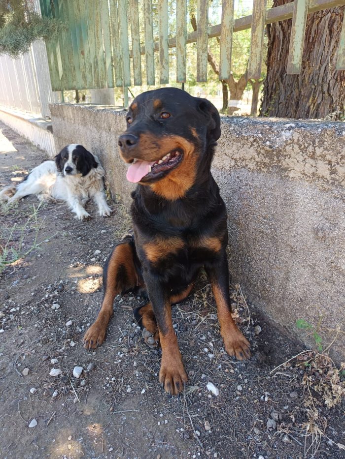 Lupita dolce rott 2 anni