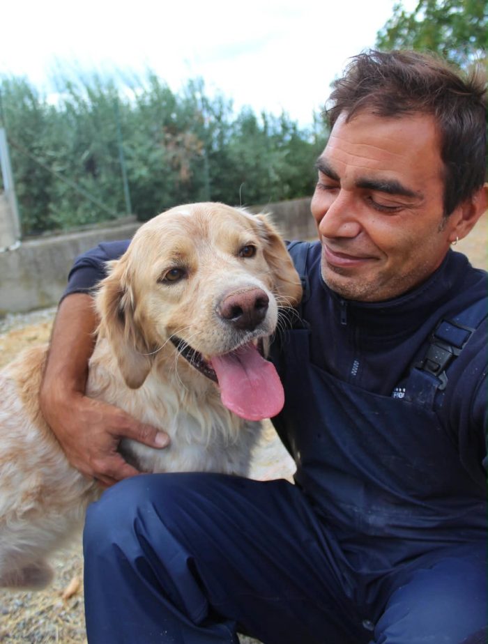 Flavio un cagnolone dolcissimo