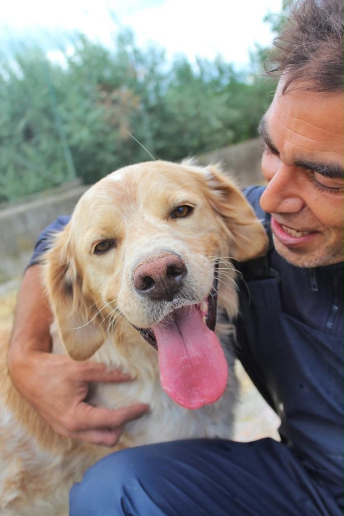 Flavio un cagnolone dolcissimo