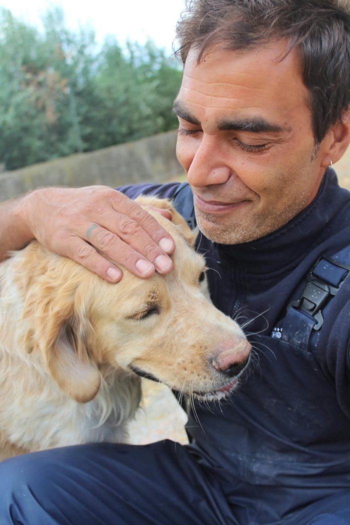 Flavio un cagnolone dolcissimo - media 9
