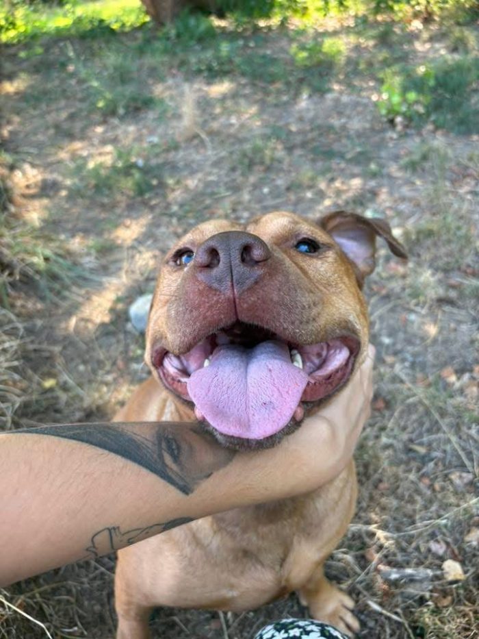 Emmer super bullo!❤️