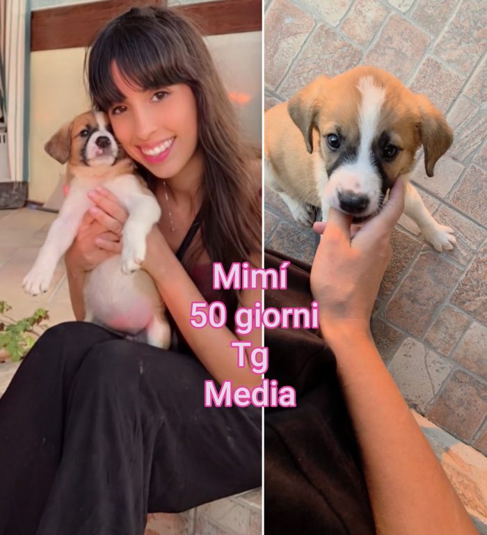 Siamo piene di cuccioli