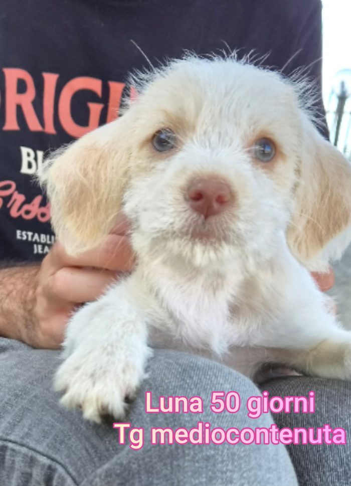 Ancora tanti teneri cuccioli