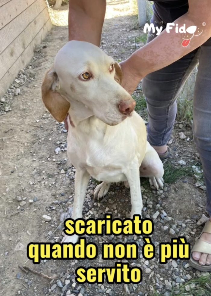 Sfruttato e buttato via