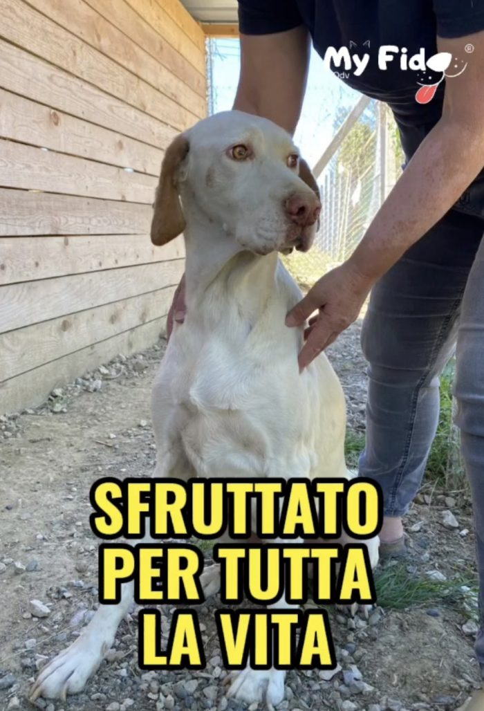 Sfruttato e buttato via