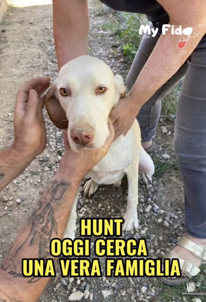 Sfruttato e buttato via