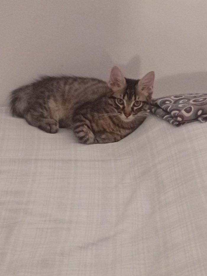 Luna non ha più un posto dove stare 💔