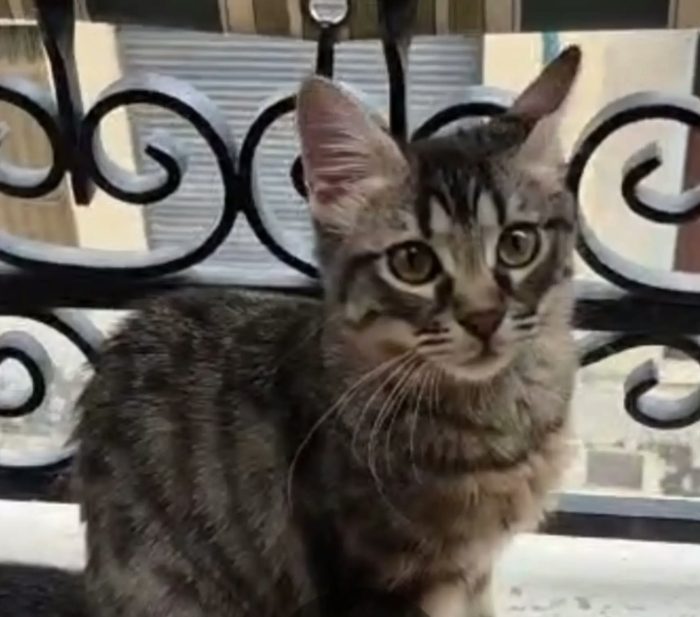 Luna non ha più un posto dove stare 💔
