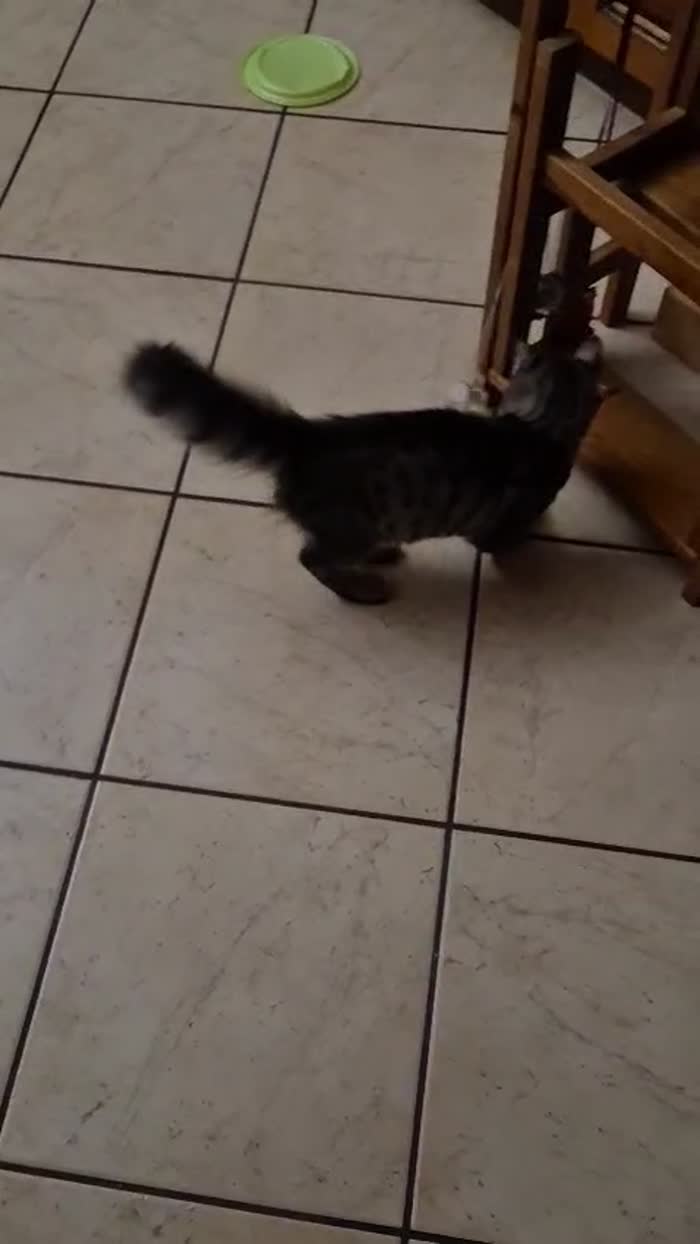 Luna non ha più un posto dove stare 💔 - media 4