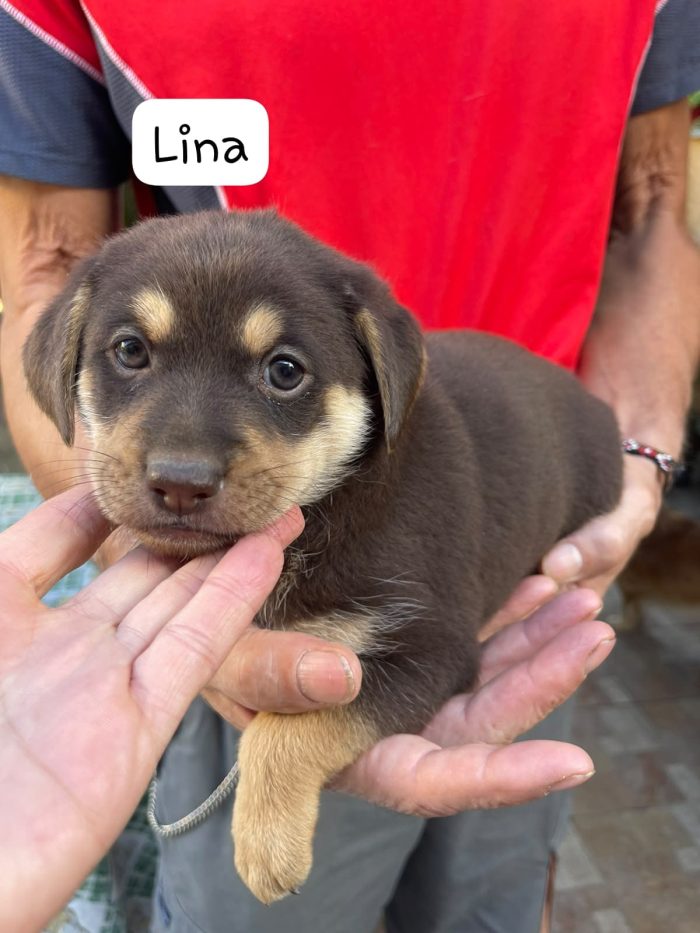 Lina Caterina Lenny e Tina