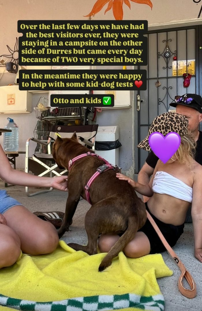 Otto is searching for a home - media 7