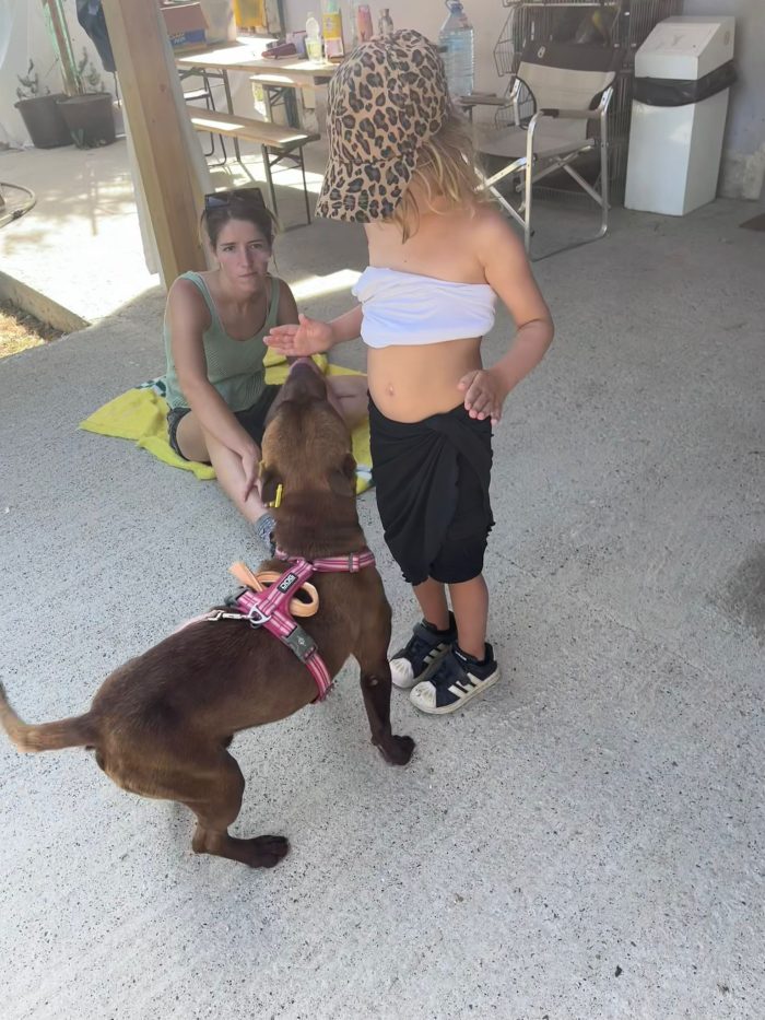 Otto is searching for a home - media 8