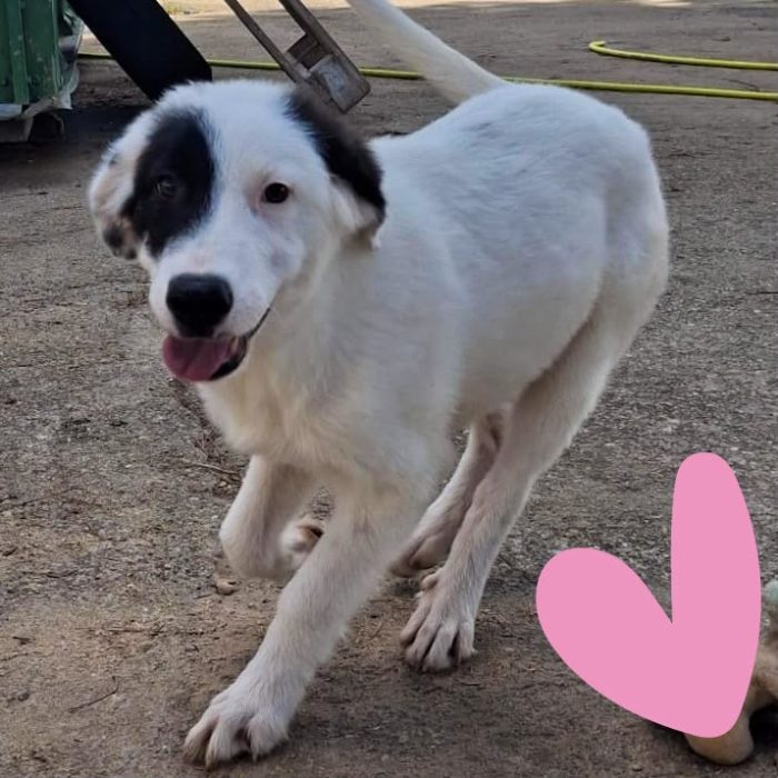 Brie❤️ti aspetto mamma - media 4