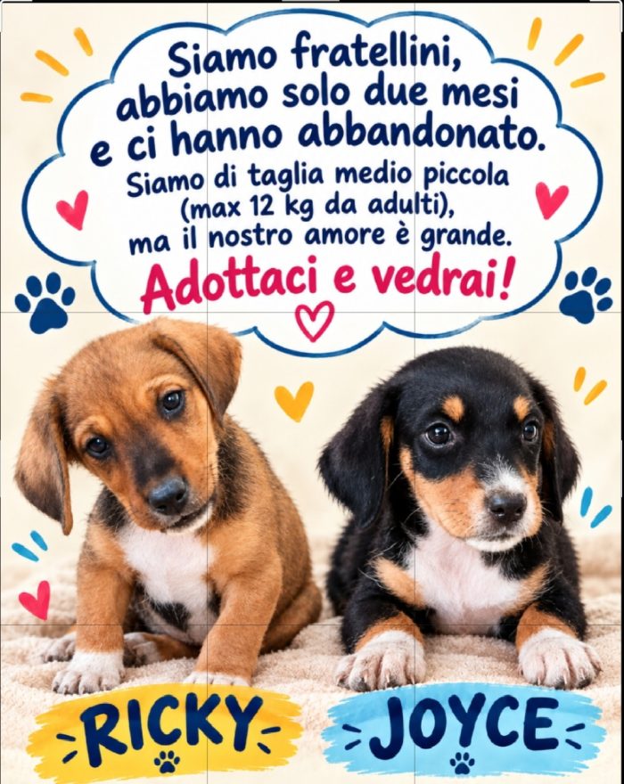 Ci vuoi, vero?