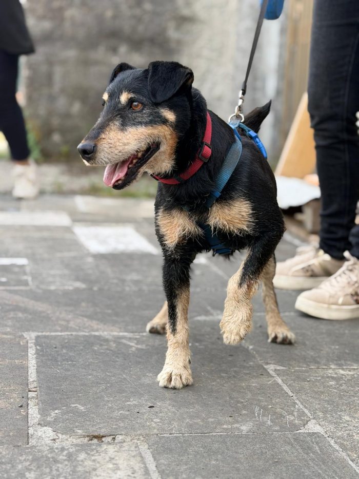 Zack cerca una famiglia dinamica... - media 5