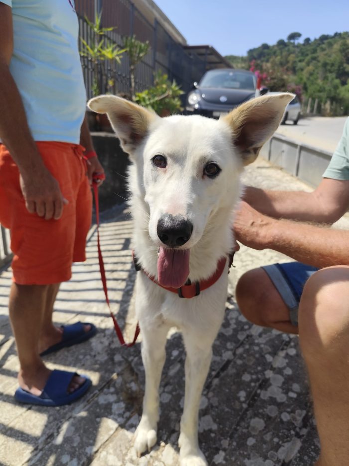 Robbie senza casa tra una settimana! - media 7