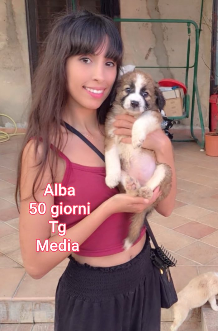 CUCCIOLI ABBANDONATI! EMERGENZA - media 5