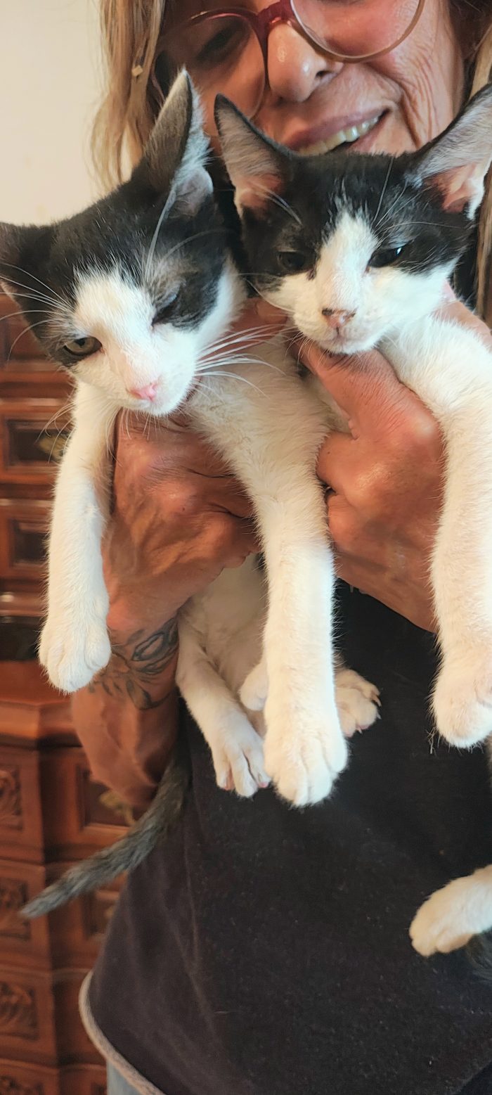 I fratellini