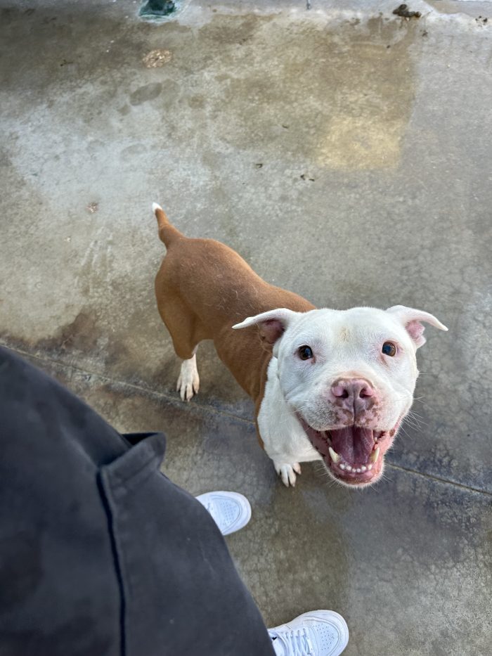 🐾NAMI ancora ha speranza🙏🥺