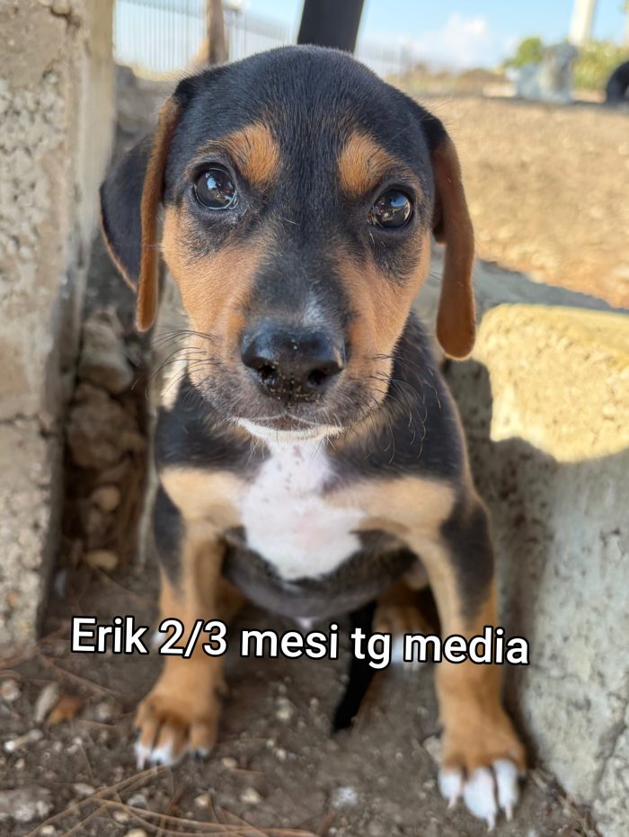 Invisibili cuccioli! 2 mesi