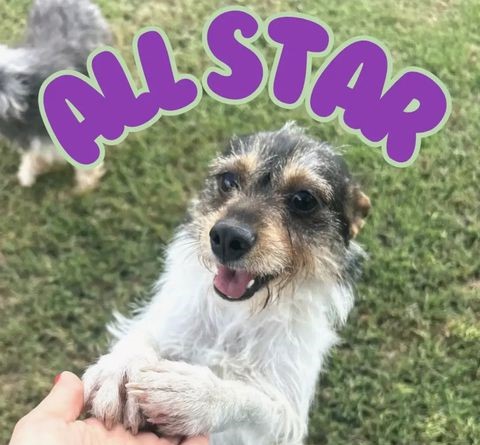 All Star