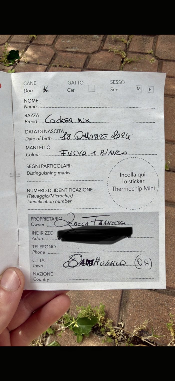 Maya cerca una famiglia paziente - media 7