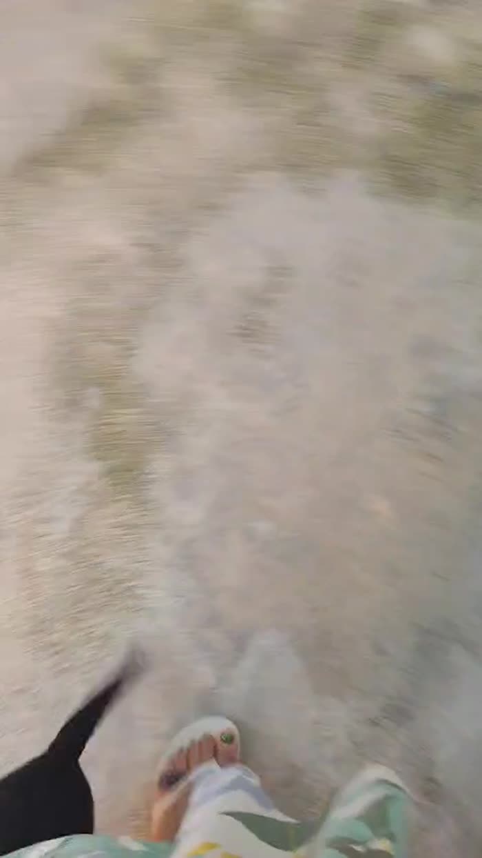 Meno di 1anno kg4 maschietto DA SALVARE