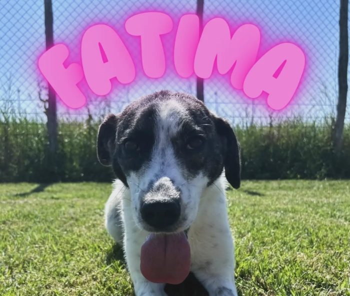 Fatima