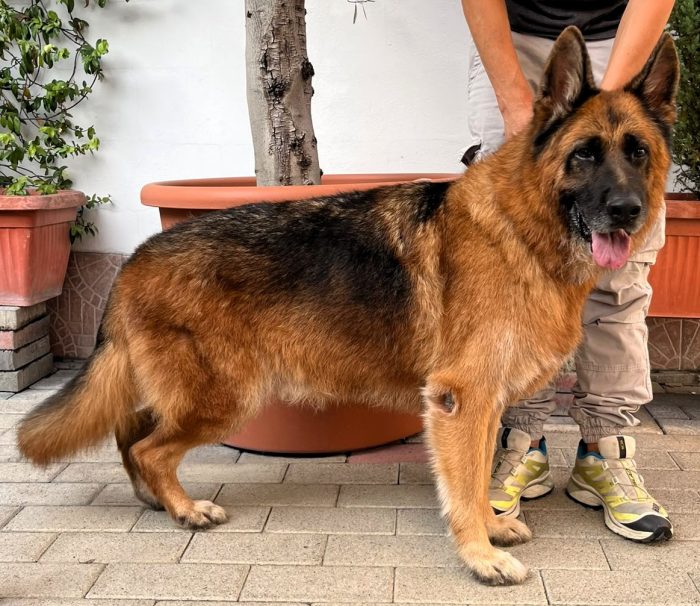 IBRA CERCA CASA - media 4