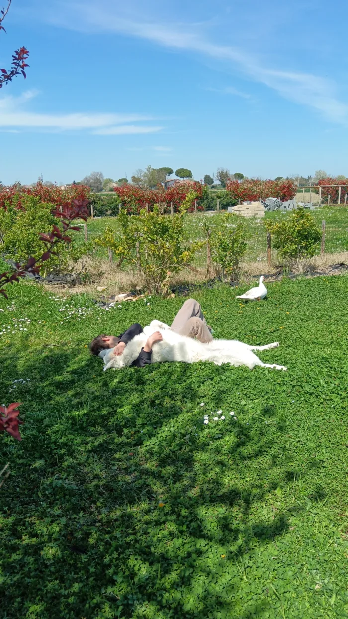 DOLCISSIME SORELLE MAREMMANE DI 1 ANNO