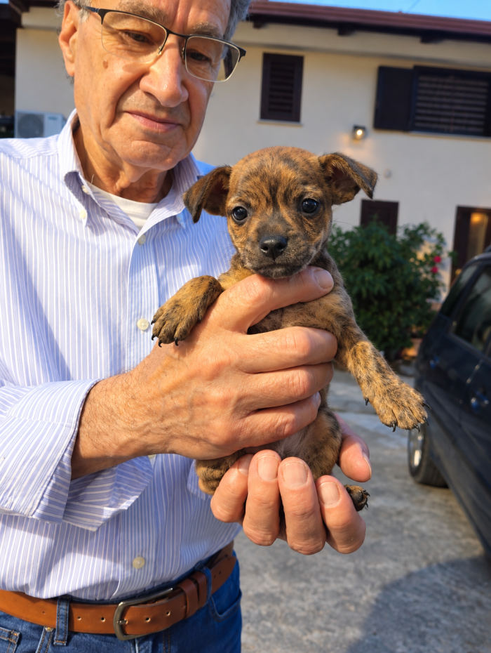 Nemo, taglia piccola! (10kg)