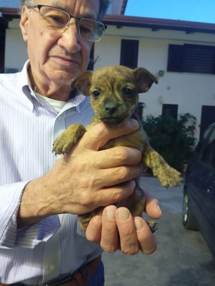 Nemo, taglia piccola! (10kg)