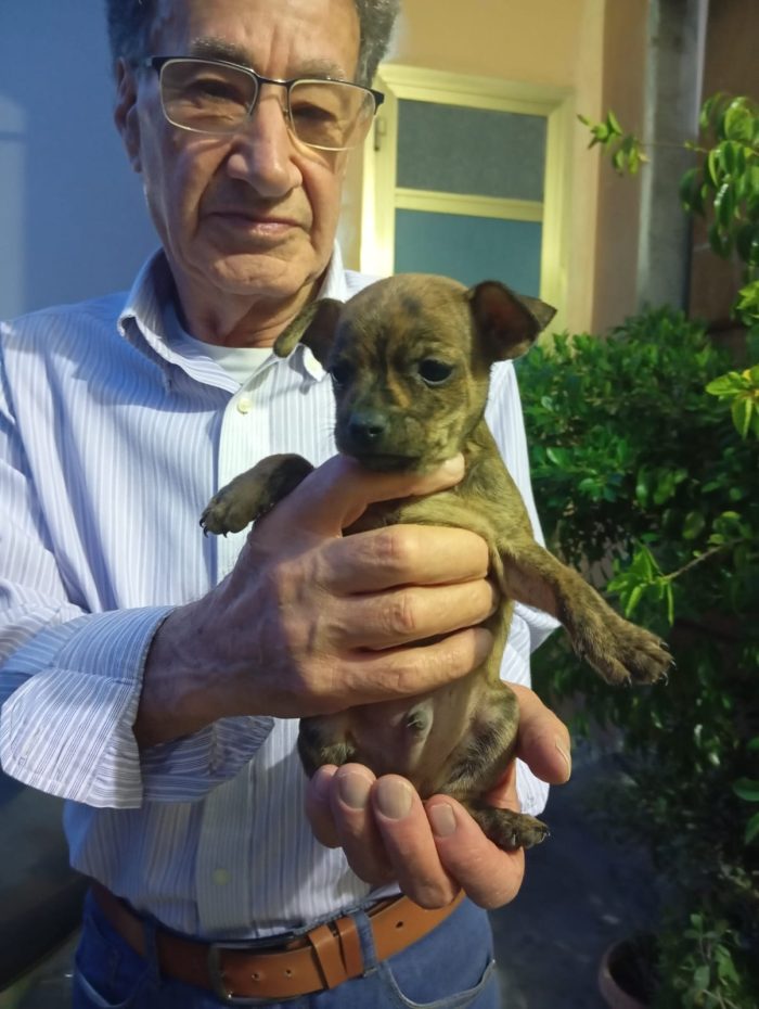 Nemo, taglia piccola! (10kg)