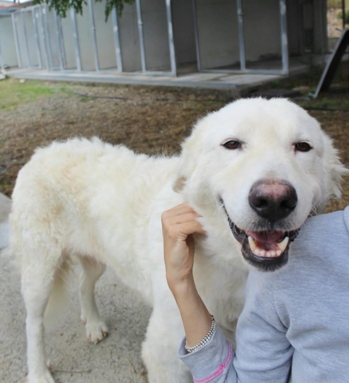 BLANCA, UNA VITA OLTRE LE SBARRE