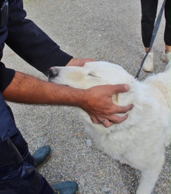 BLANCA, UNA VITA OLTRE LE SBARRE - media 6