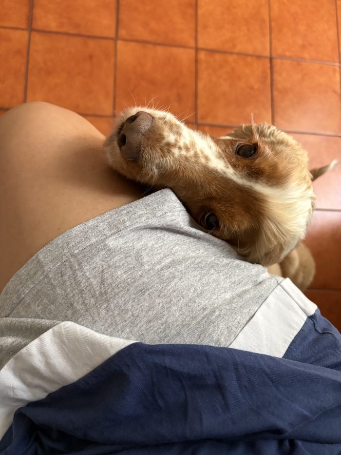 Bianca cerca una famiglia molto brava e tanto amore