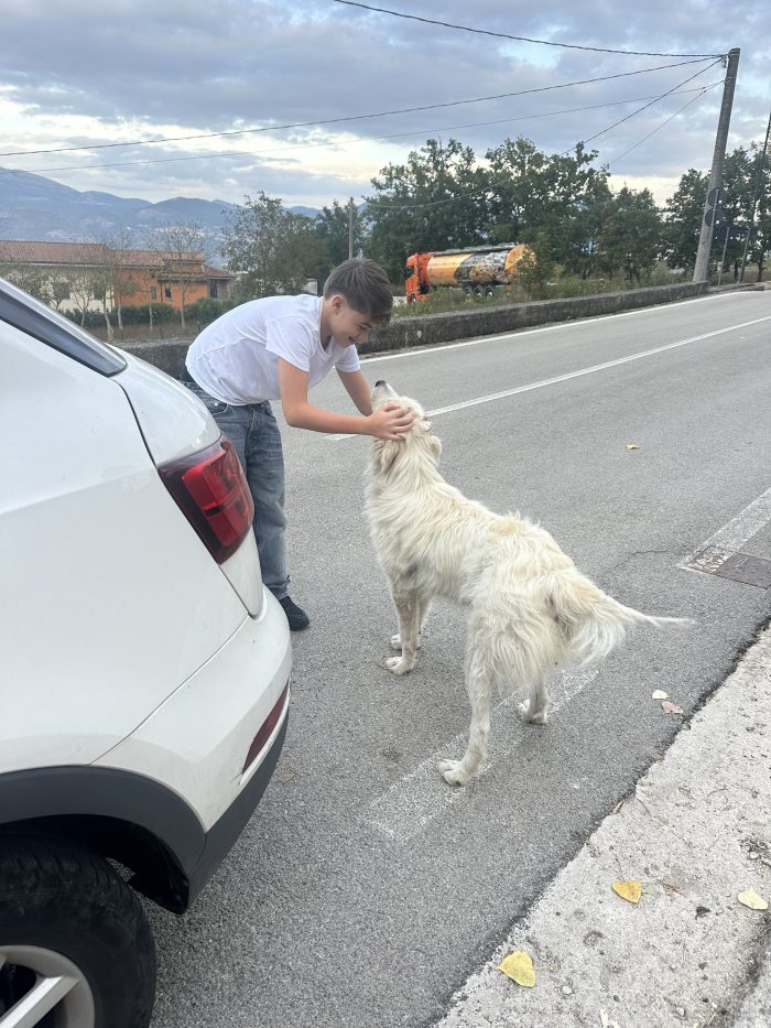 Bianco vive in strada
