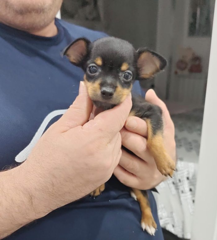 AIKO CERCA UNA FAMIGLIA PER SEMPRE!