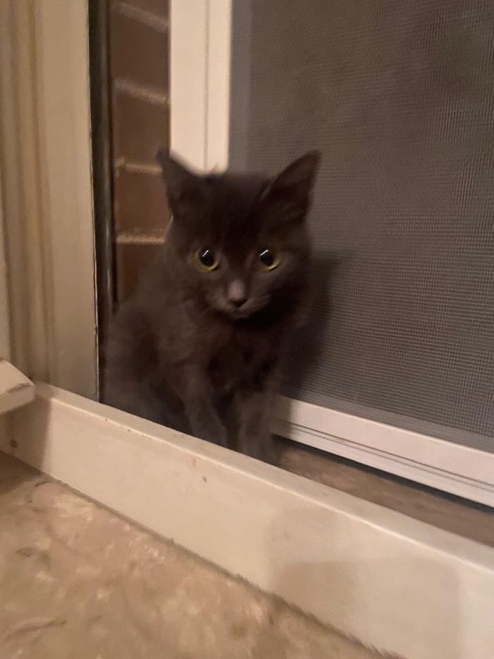 Oscar