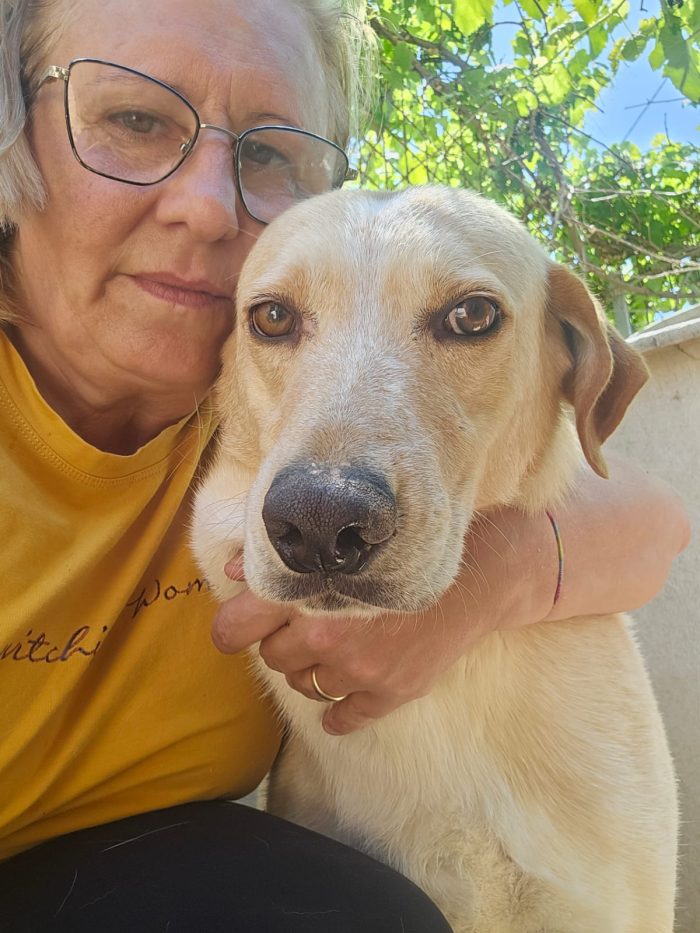 BUTTATI IN UN SACCHETTO COME SPAZZATURA. ORA MARCISCONO IN UN BOX 💔 - media 7