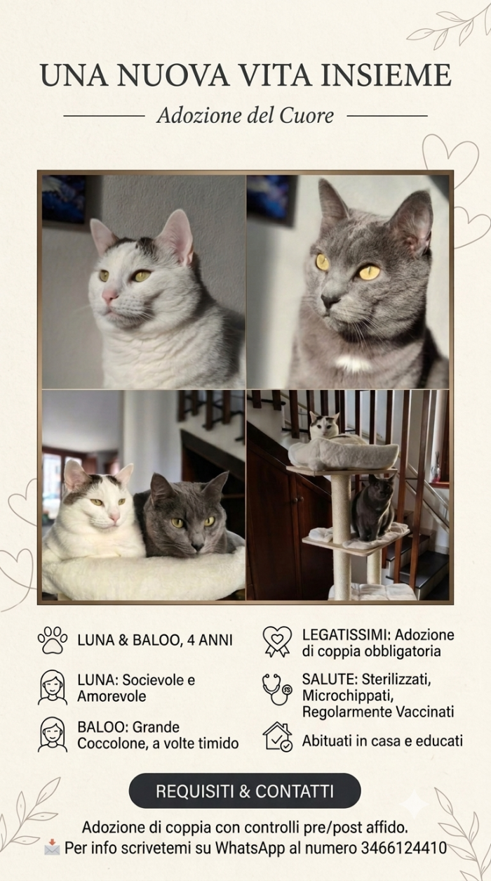 Luna e Baloo, adozione del cuore