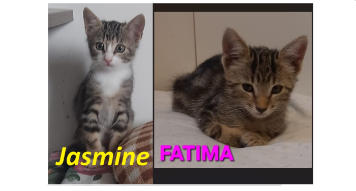 Jasmine & Fatima, sorelline adorabili